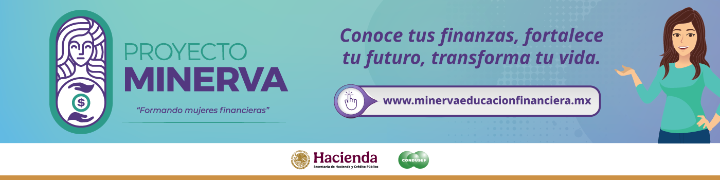 Carrusel-Proyecto Mireva