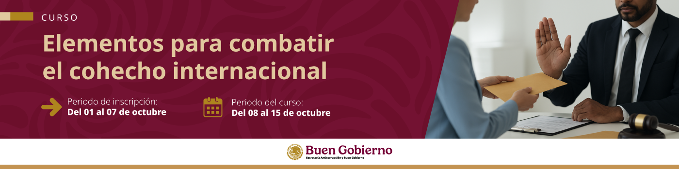 Carrusel-Elementos para combatir el cohecho internacional