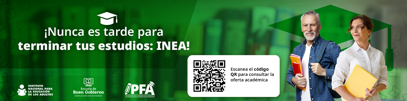 Carrusel - INEA